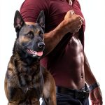 Carlisle K-9 Police Romance eBook Dreamspinner-0