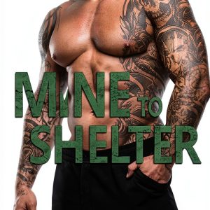 Police Romance Kindle eBook by KLM Books Packed Protection Series-0