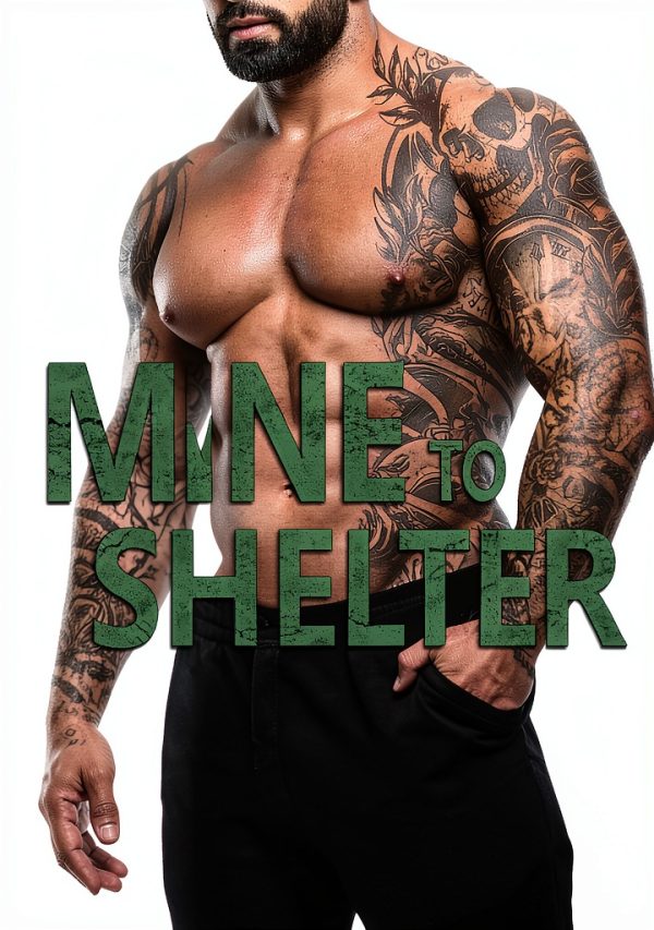 Police Romance Kindle eBook by KLM Books Packed Protection Series-0